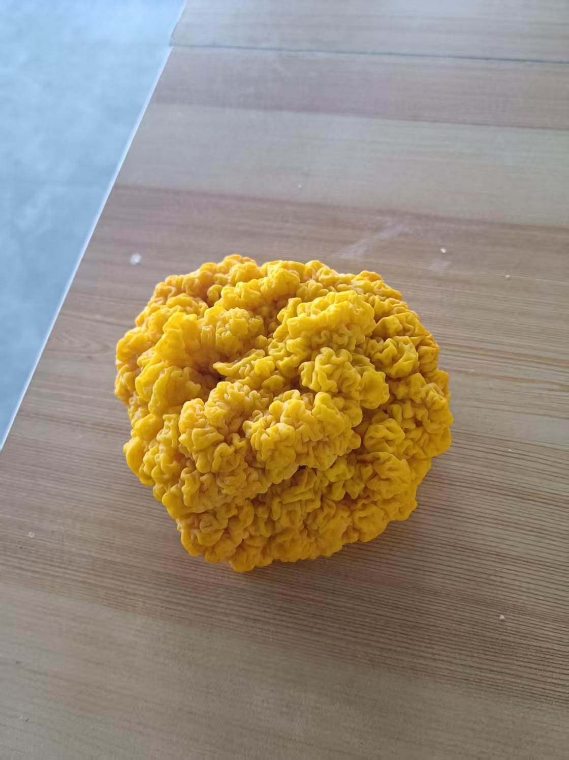 Growing the “Gold of Mushrooms” in the Funiu Mountains — Six 40ft Golden Tremella Cultivation Cabins Delivered in Lushan