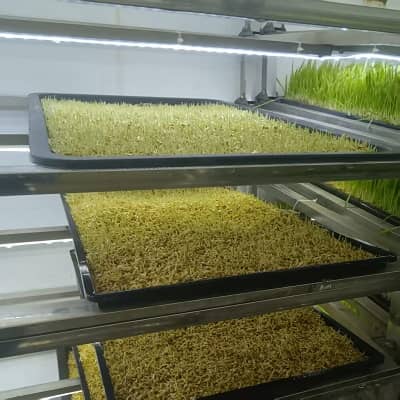Mobile Smart Forage Cultivation Station