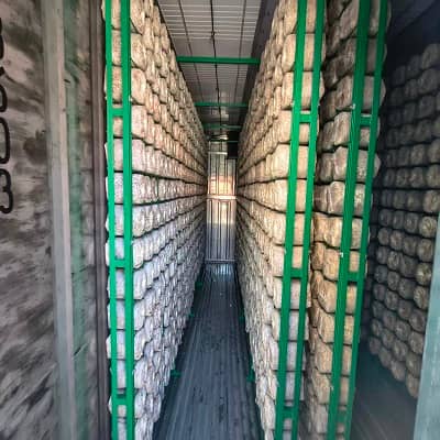 Mobile Smart Mushroom Cultivation Station