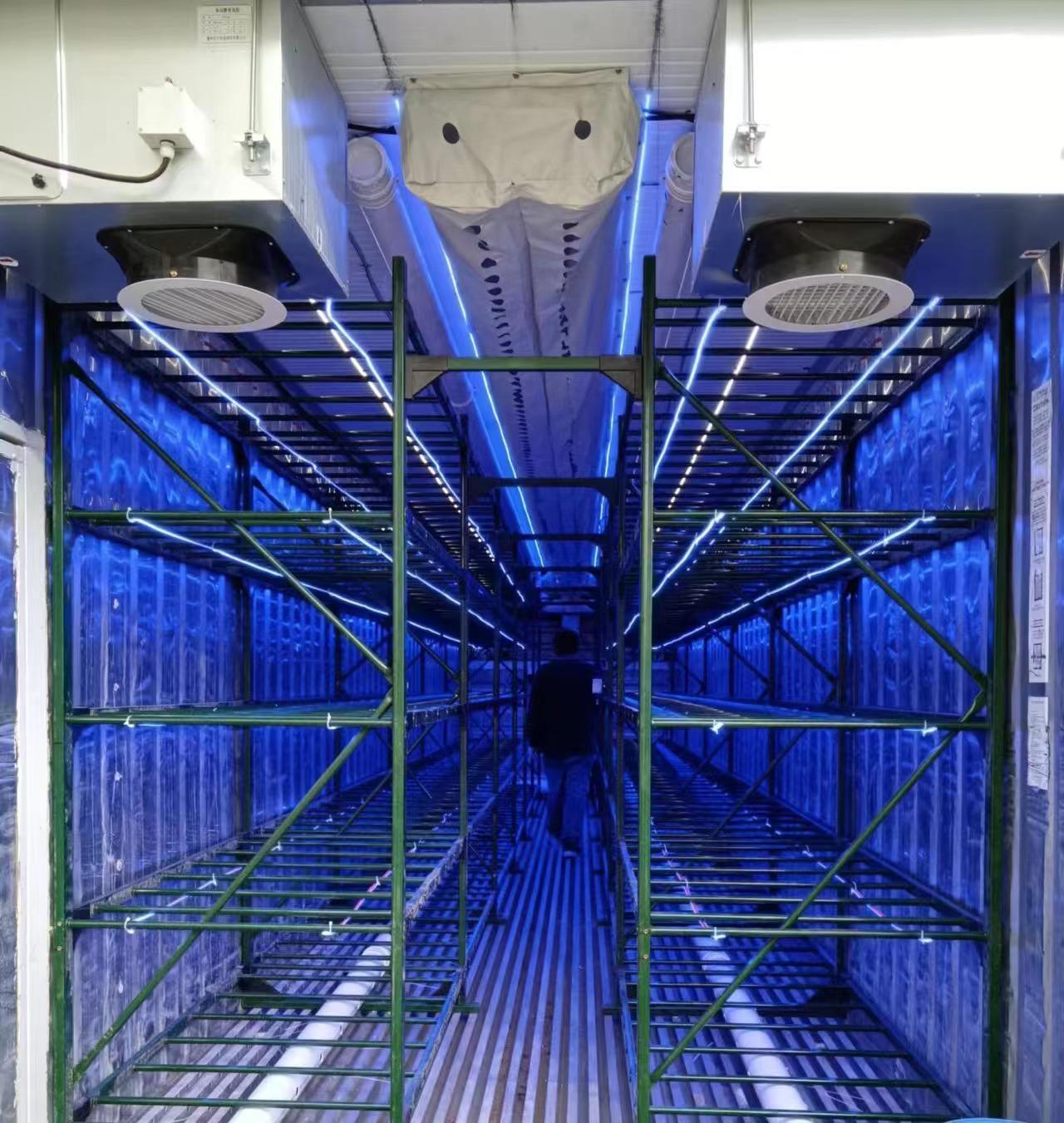 Mobile Smart Mushroom Space Station (Tier Racks)