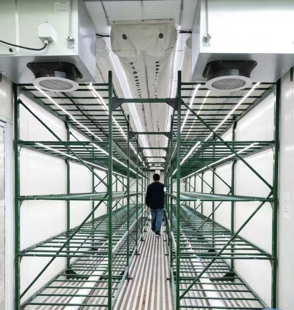 Mushroom Experimental Research Space Station