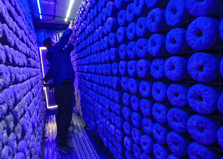 Mobile Smart Mushroom Space Station (Grid Racks)