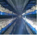Mobile Smart Mushroom Space Station (Tier Racks)
